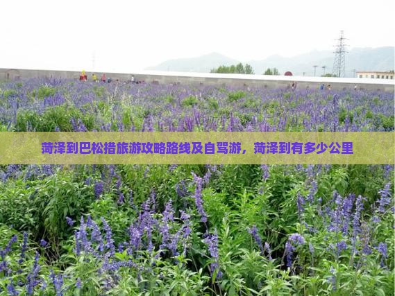 菏泽到西藏巴松措旅游