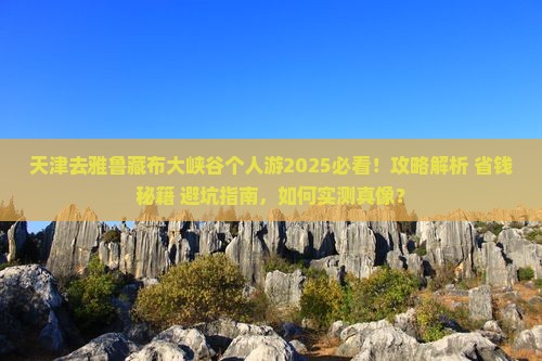 天津去西藏雅鲁藏布大峡谷个人游