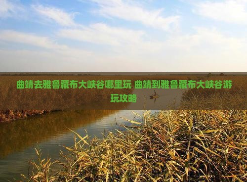 曲靖去西藏雅鲁藏布大峡谷哪里玩