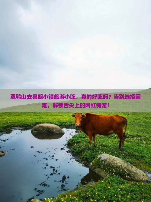 双鸭山去西藏鲁朗小镇旅游小吃