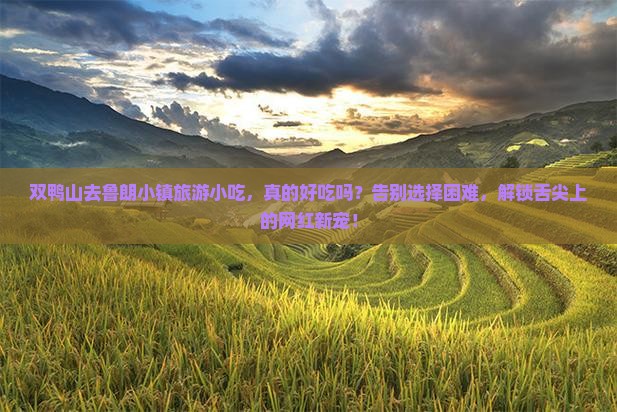 双鸭山去西藏鲁朗小镇旅游小吃