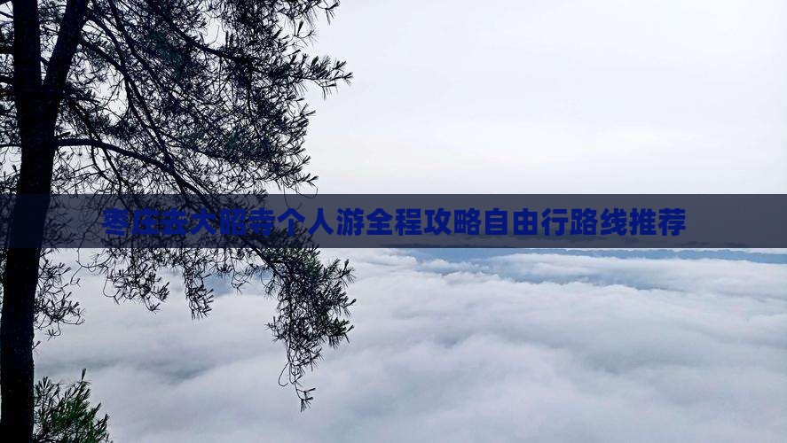 枣庄去西藏大昭寺个人游
