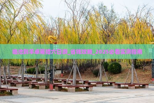 临沧到西藏羊卓雍措六日游