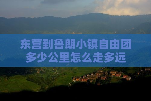 东营到西藏鲁朗小镇自由团