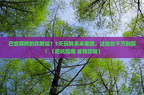 巴音郭楞去西藏羊卓雍措旅行社