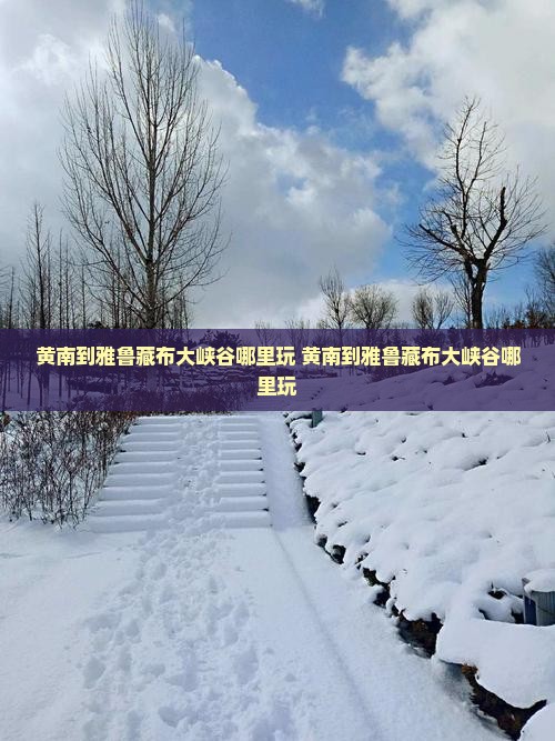 黄南到西藏雅鲁藏布大峡谷哪里玩