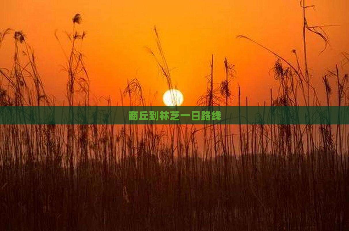 商丘到西藏林芝一日