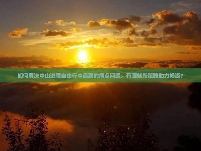 如何解决中山进藏自由行中遇到的痛点问题，有哪些新策略助力畅游？