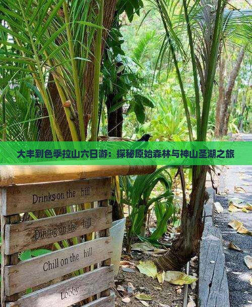 大丰到色季拉山六日游：探秘原始森林与神山圣湖之旅
