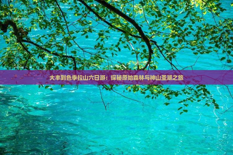 大丰到色季拉山六日游：探秘原始森林与神山圣湖之旅