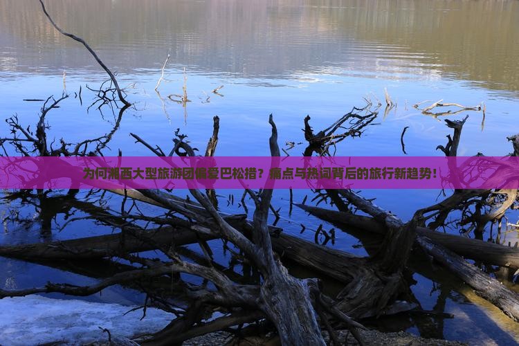 为何湘西大型旅游团偏爱巴松措？痛点与热词背后的旅行新趋势！