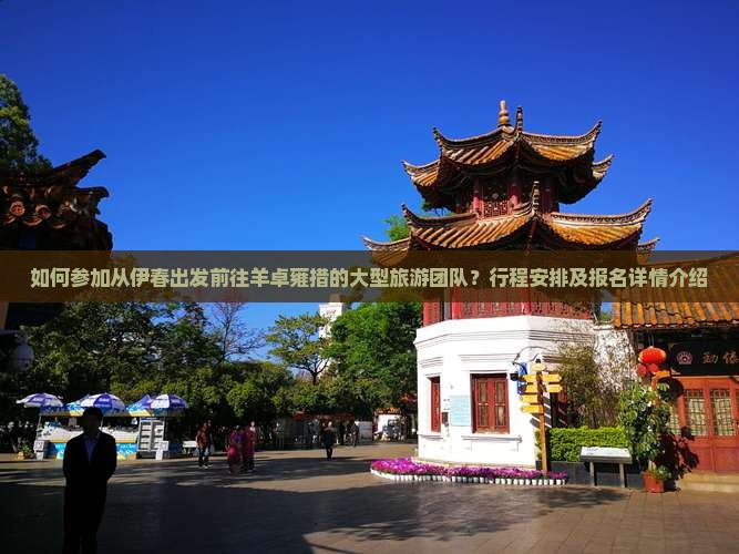 如何参加从伊春出发前往羊卓雍措的大型旅游团队？行程安排及报名详情介绍
