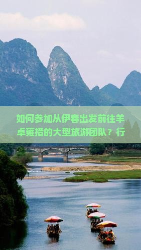如何参加从伊春出发前往羊卓雍措的大型旅游团队？行程安排及报名详情介绍