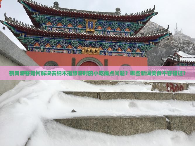 鹤岗游客如何解决去纳木措旅游时的小吃痛点问题？哪些新词美食不容错过？