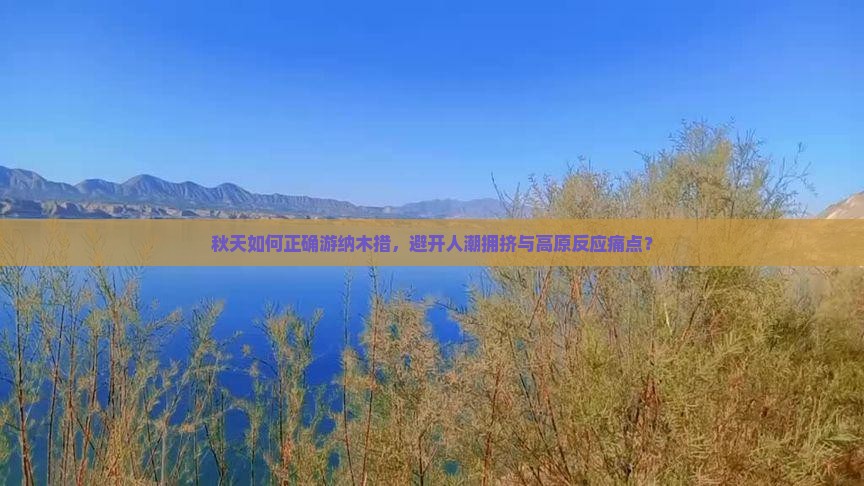秋天如何正确游纳木措，避开人潮拥挤与高原反应痛点？