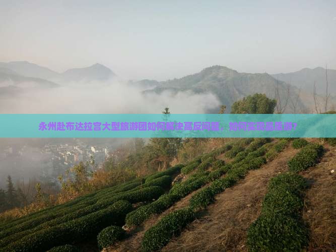 永州赴布达拉宫大型旅游团如何解决高反问题，如何实现品质游？