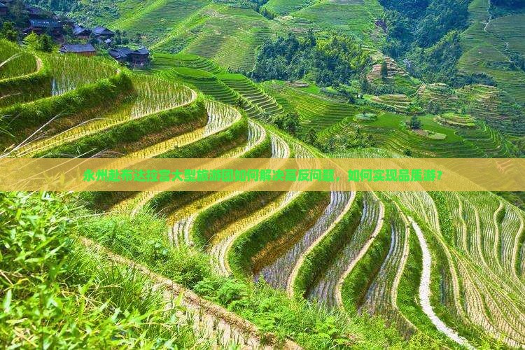 永州赴布达拉宫大型旅游团如何解决高反问题，如何实现品质游？