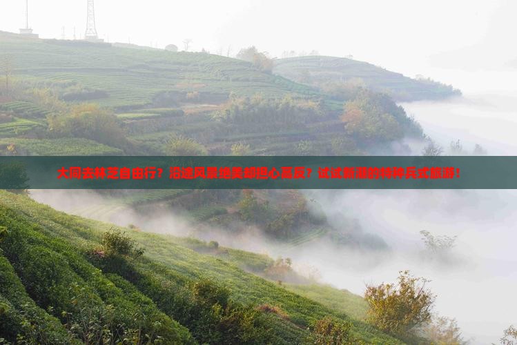 大同去林芝自由行？沿途风景绝美却担心高反？试试新潮的特种兵式旅游！