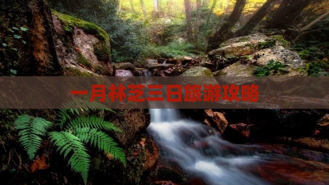 一月林芝三日旅游攻略