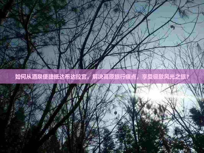 如何从酒泉便捷抵达布达拉宫，解决高原旅行痛点，享受极致风光之旅？