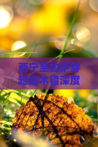 西宁至拉萨穿越纳木错深度旅游团