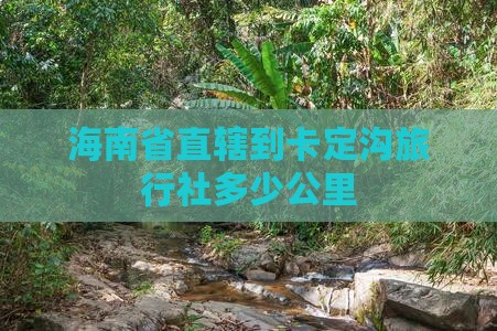海南省直辖到卡定沟旅行社多少公里