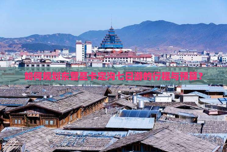 如何规划东营至卡定沟七日游的行程与预算？
