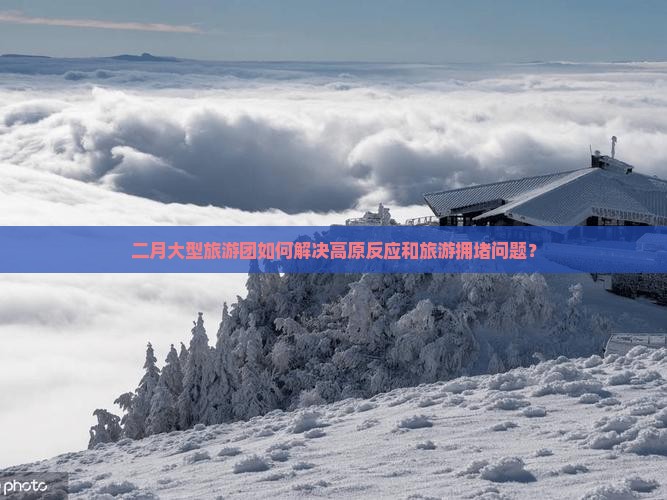 二月大型旅游团如何解决高原反应和旅游拥堵问题？