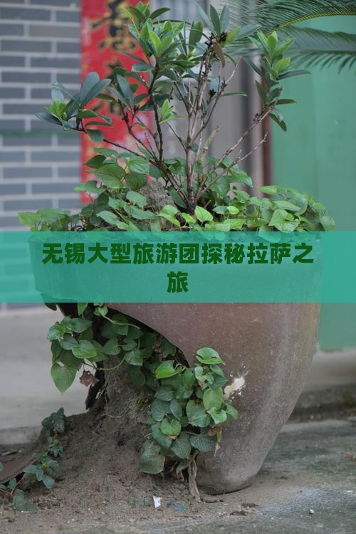 无锡大型旅游团探秘拉萨之旅