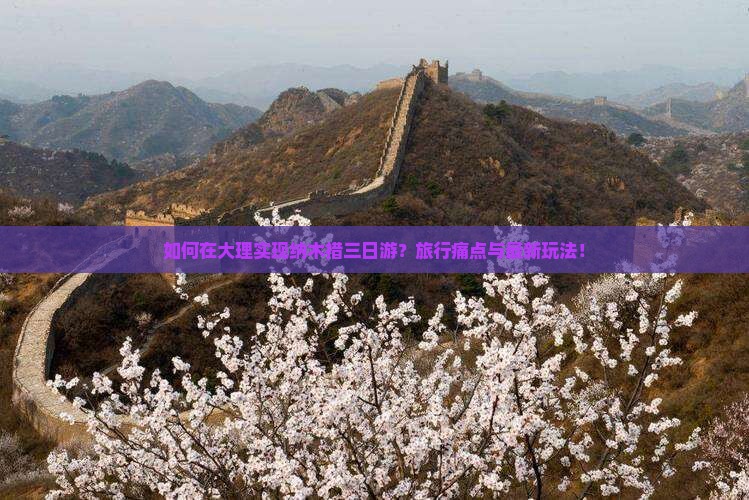 如何在大理实现纳木措三日游？旅行痛点与最新玩法！