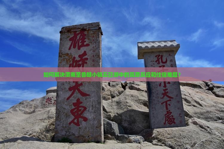 如何解决渭南至鲁朗小镇五日游中的高原反应和住宿难题？