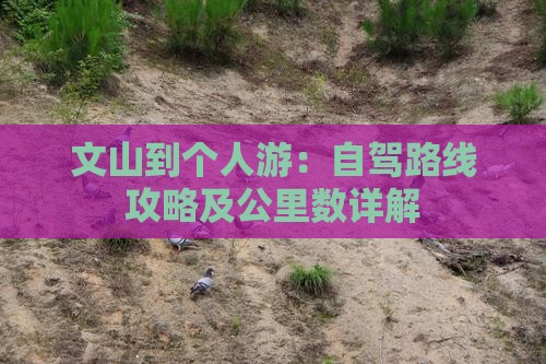 文山到个人游：自驾路线攻略及公里数详解