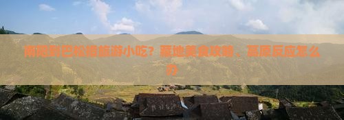 南阳到巴松措旅游小吃？藏地美食攻略、高原反应怎么办
