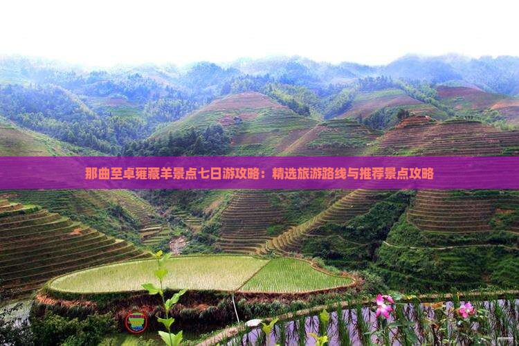 那曲至卓雍藏羊景点七日游攻略：精选旅游路线与推荐景点攻略