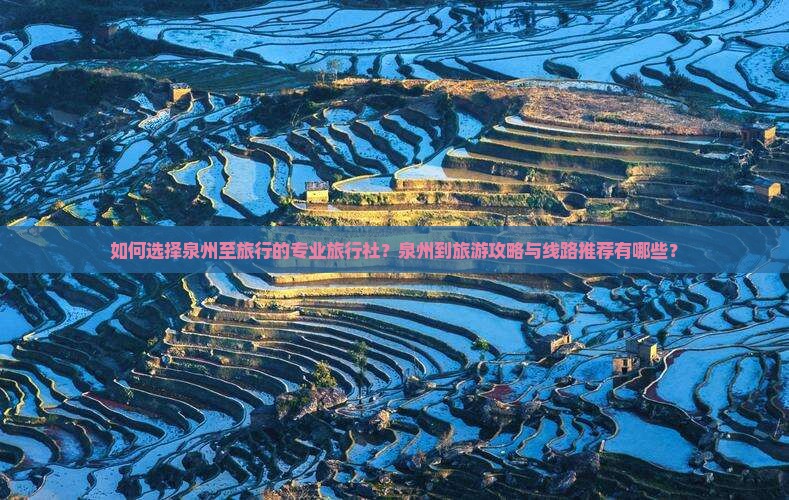 如何选择泉州至旅行的专业旅行社？泉州到旅游攻略与线路推荐有哪些？
