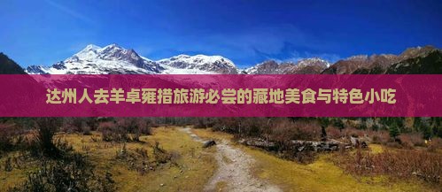 达州人去羊卓雍措旅游必尝的藏地美食与特色小吃