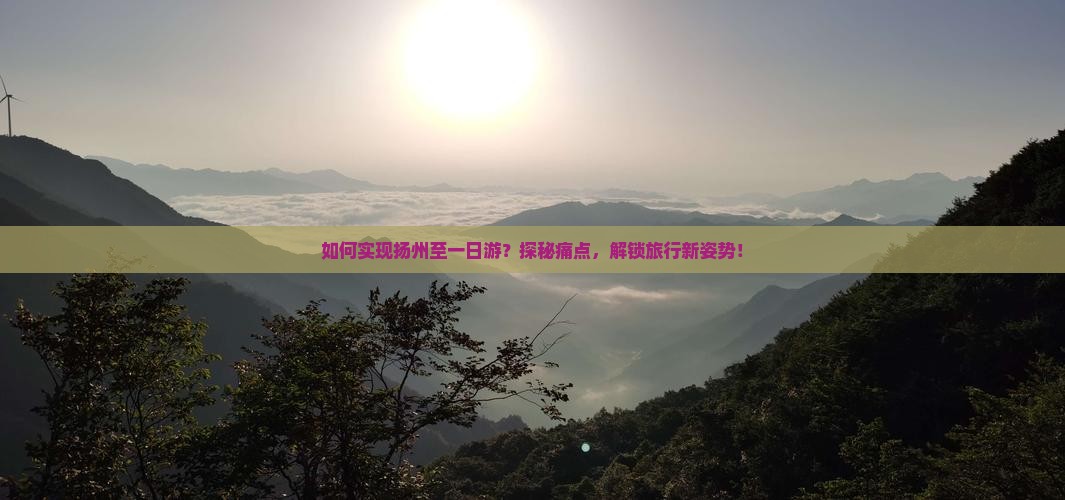 如何实现扬州至一日游？探秘痛点，解锁旅行新姿势！