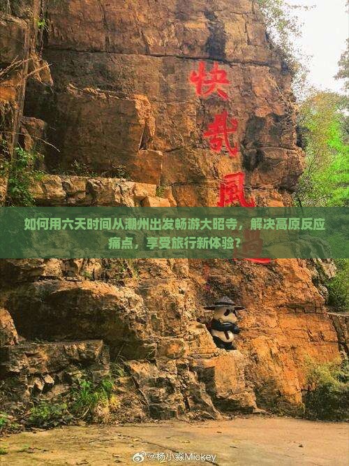 如何用六天时间从潮州出发畅游大昭寺，解决高原反应痛点，享受旅行新体验？