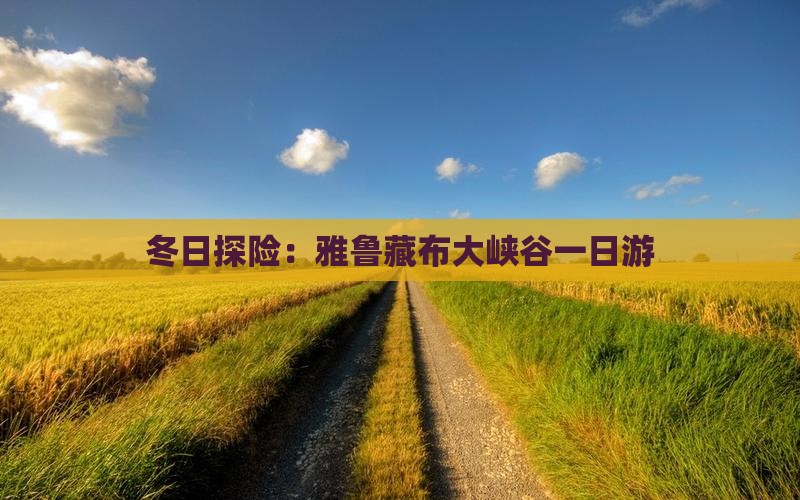 冬日探险：雅鲁藏布大峡谷一日游