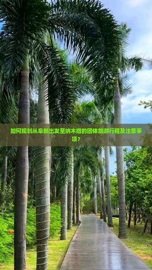 如何规划从阜新出发至纳木措的团体旅游行程及注意事项？