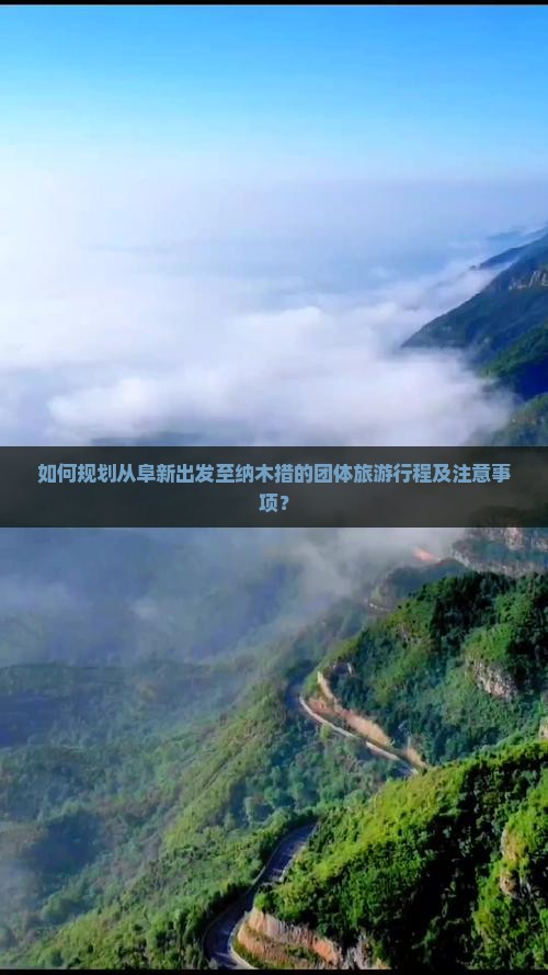 如何规划从阜新出发至纳木措的团体旅游行程及注意事项？