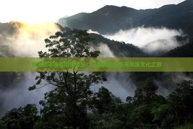 贵港到羊卓雍措哪里玩：探秘高原美景与民族文化之旅