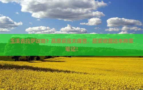 玉溪去拉萨攻略？高原反应太痛苦，赶紧收藏这本种草笔记！