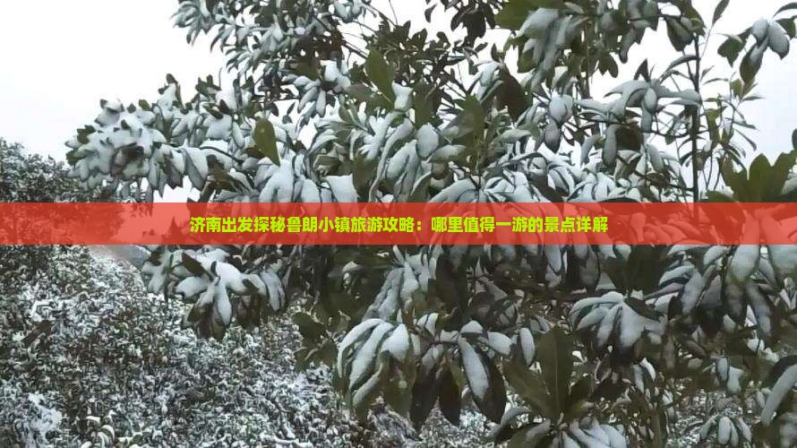 济南出发探秘鲁朗小镇旅游攻略：哪里值得一游的景点详解