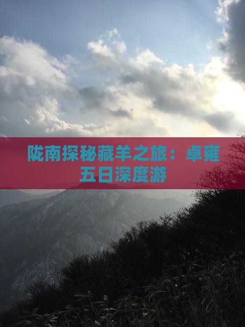 陇南探秘藏羊之旅：卓雍五日深度游