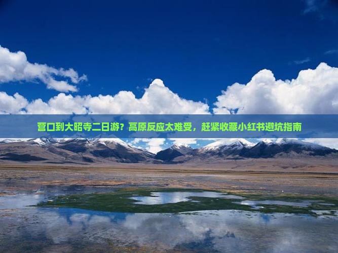 营口到大昭寺二日游？高原反应太难受，赶紧收藏小红书避坑指南