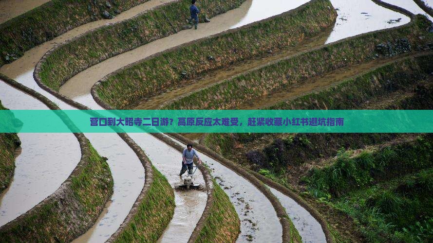 营口到大昭寺二日游？高原反应太难受，赶紧收藏小红书避坑指南