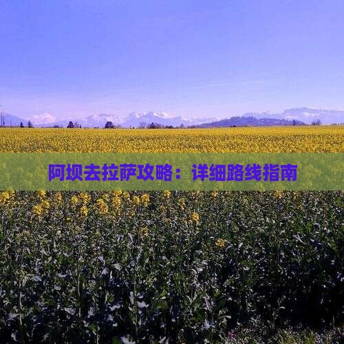 阿坝去拉萨攻略：详细路线指南