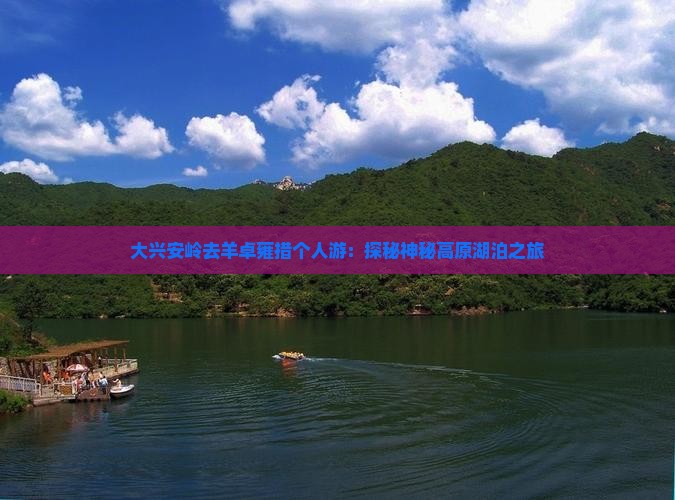 大兴安岭去羊卓雍措个人游：探秘神秘高原湖泊之旅