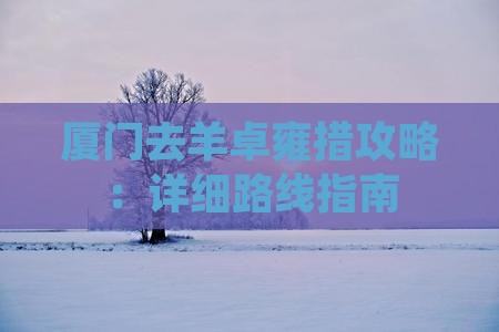 厦门去羊卓雍措攻略：详细路线指南